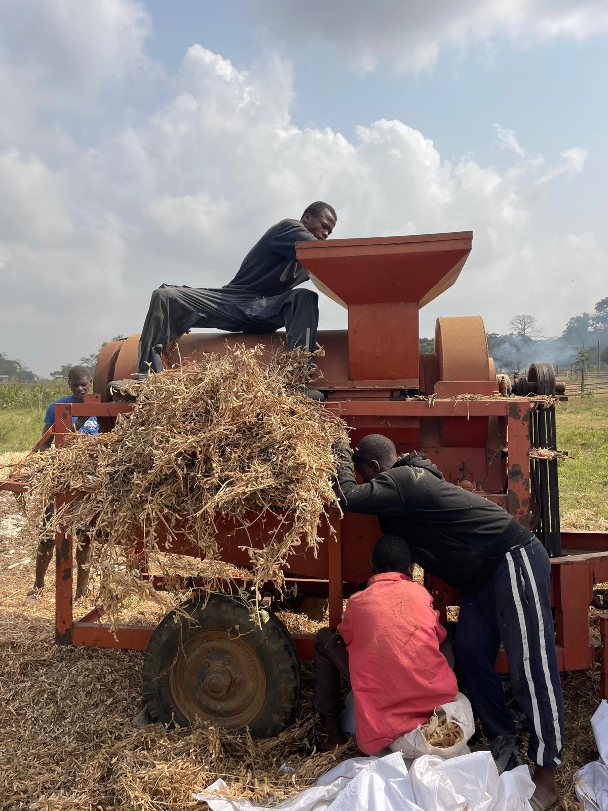 Travaux agricoles avec une batteuse