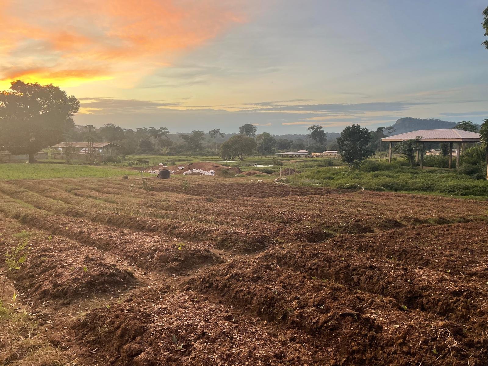 Vue authentique de la Ferme agroécologique de Bilon au coucher du soleil